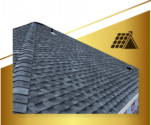 A close-up view of a house roof with gray asphalt shingles, displayed within a gold and black graphic design featuring a Roofing icon on the right side—perfect for highlighting Exterior Done Best in the Twin Cities.